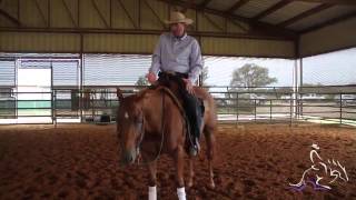 Reining Horse Training  Improving Your Spins with Pete Kyle [upl. by Erline]