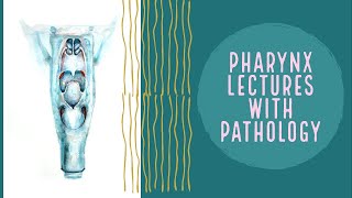 PHARYNX lecture 5 ADENOIDS Inflammation in easy way [upl. by Joacima695]