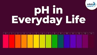 pH in Everyday Life  Acid Bases and Salts  Dont Memorise [upl. by Eiznikam]