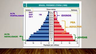 População brasileira  análise das pirâmides etárias do Brasil [upl. by Lyford]