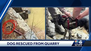 Dog falls 85 feet into Georgia quarry while hog hunting [upl. by Adnil896]