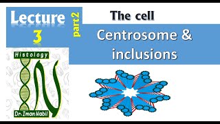 3b Centrosome and cell inclusions CellHistology [upl. by Rayner]