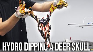 How to HYDRO DIP a Deer Skull [upl. by Ssitnerp]