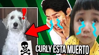 😭NIÑA RATA LLORA POR CURLY EL PERRO DE FERNANFLOO😂 MIS HATERS   LEYENDO COMENTARIOS  Fernanfloo [upl. by Steady]