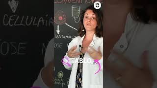 Cancer du sein  quelle approche thérapeutique  shorts 🔍🧬 [upl. by Ellebanna]