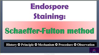 SchaefferFulton method of Endospore staining by Dr Pooja Kakde SRTMUN EnglishMarathi education [upl. by Shing]