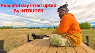 Peaceful Van life day Interrupted by Intruder [upl. by Aidan]