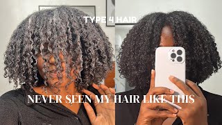 THE BEST WASH AND GO I’VE EVER TRIED MY updated WASH AND GO ROUTINE ON NATURAL TYPE 4 HAIR [upl. by Nylaf]