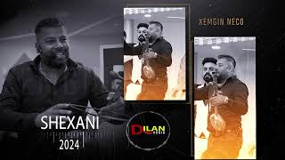 Xemgin Neco  Shexani 2024  by Dilan Audio 2024 [upl. by Kendrick]