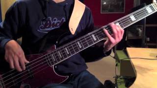 Michel Fugain  Une Belle Histoire Bass Cover [upl. by Lillith]