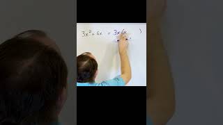 A Visual Guide to Factoring Polynomials for Students [upl. by Sulihpoeht840]