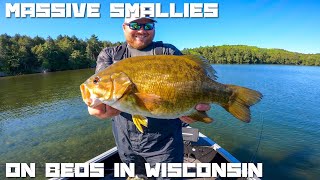 Smallmouth Bass Fishing the Spawn in Northern WisconsinMorning Day 2 Minocqua 2024 [upl. by Akiram]