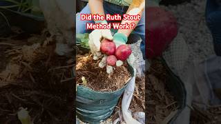 FUN amp EASY Way to Grow Potatoes  Container Vegetable Gardening [upl. by Osber]