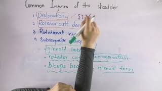 Common injuries of the shoulder part3 Rotational injuries and subscapular neuropathy [upl. by Ijan]