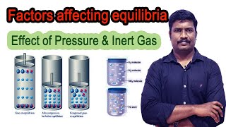 10Factors affecting equilibria  Effect of Pressure  Effect of Inert Gas  concept for NEET  JEE [upl. by Ateikan]