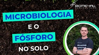 MICROBIOLOGIA e o FÓSFORO no Solo [upl. by Aicina]