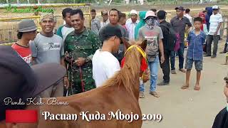 Pacuan Kuda Mbojo  Panda  Kab Bima  2019 [upl. by Aleunamme919]