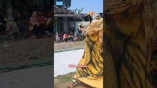 Barongan kendal macan kuning show [upl. by Ennyrb390]