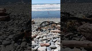 What is this Someone fishes for crab using this net Abenaki Language abenaki crab baskets [upl. by Cantone]