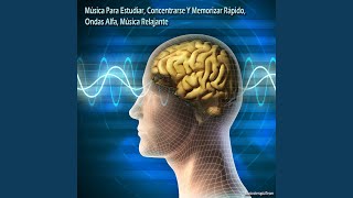 Música Para Estudiar Concentrarse Y Memorizar Rápido Ondas Alfa Música Relajante [upl. by Nahaj]