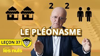 La leçon du professeur Julaud n°37  Le pléonasme [upl. by Landbert]