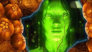 Halo 6 News  CONFIRMED Cortana Infected By the LOGIC PLAGUE [upl. by Ainoval734]