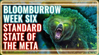 MTG Standard Decks Tier List for Bloomburrow Week 6  MTG Rebellion [upl. by Pascal703]