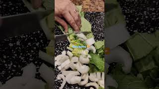 SLICING PECHAY vegetable viralshorts trending asmrsounds [upl. by Millman]