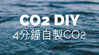 【水族筆記】CO2 DIY：4分鐘快速學會自製二氧化碳，詳細步驟教學！ [upl. by Areek]