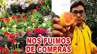 Nos vamos de compras por plantas para sembrar en mi Casa  Israelo [upl. by Marih]