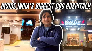 Hospital tour maxvet biggest vet hospital of India  Top vet of India series part 2 [upl. by Hilten992]