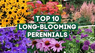 10 Long Blooming Perennials for a Colorful Garden 👌🌿💚  PlantDo Home amp Garden 🍃 [upl. by Dyane89]