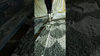 Ultimate Carpet Cleaning Experience [upl. by Anselme]