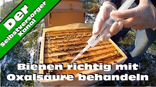 Bienen richtig mit Oxalsaeure gegen Varroamilben behandeln [upl. by Hermie]