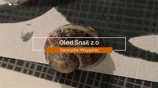 Oled Snail 20 [upl. by Fiester]