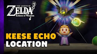 Zelda Echoes Of Wisdom  Keese Echo Location [upl. by Doran765]