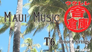 Maui Music  T6【試奏動画】 [upl. by Bordy315]