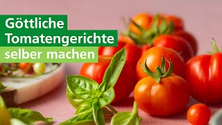 Gesunde TomatenRezepte Tomatensuppe salat amp getrocknete Tomaten  AOK [upl. by Lonna754]