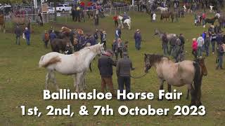 Ballinasloe October Fair 2023  Horse Fair [upl. by Innej]