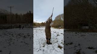 Driven Pheasant Shooting with Labrador Retriever Gundog dog shot pegdog [upl. by Eeloj]