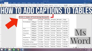 How to Add caption to Table in MS Word  How to insert caption on table in Word  Caption to Table [upl. by Atreb191]