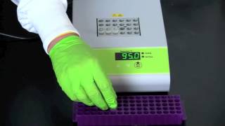 Alu PV92 Detection by PCR [upl. by Ferd]