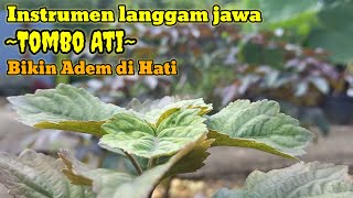 instrumen langgam jawa  Tombo ati [upl. by Arenat]