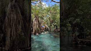 🇹🇿Chemka Hot Springs  Tanzania thetomislav tomislavraukovic [upl. by Yenolem]