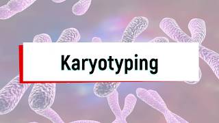 What is Karyotyping Test or Chromosomal Analysis [upl. by Corvese]