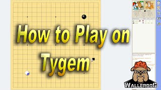 Tygem How to Create Account and Login [upl. by Aitahs]