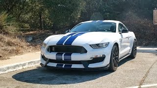 Canyon Climb Challenge Shelby GT350 vs Running [upl. by Myranda]