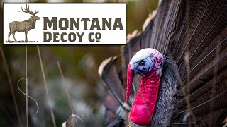 ATA 2022  Montana Decoys New 3D Wiley Tom [upl. by Allenod]