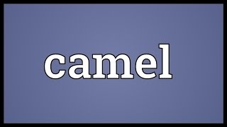 Camel Meaning [upl. by Yroj]