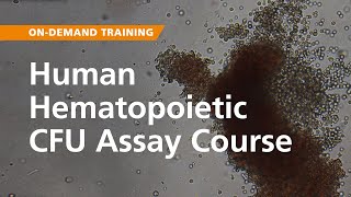 OnDemand Training Human Hematopoietic CFU Assay Course [upl. by Sert]